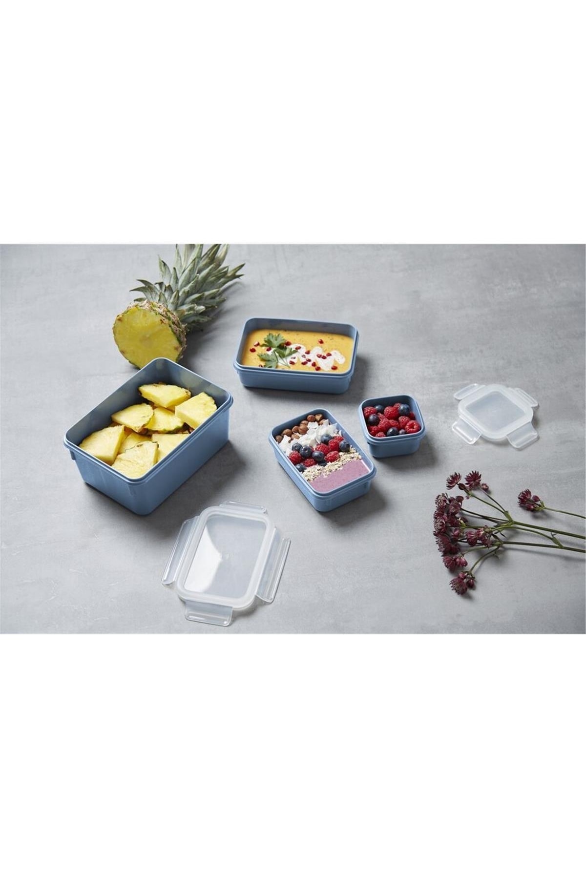 Tefal Masterseal Color 4’lü Set Mavi