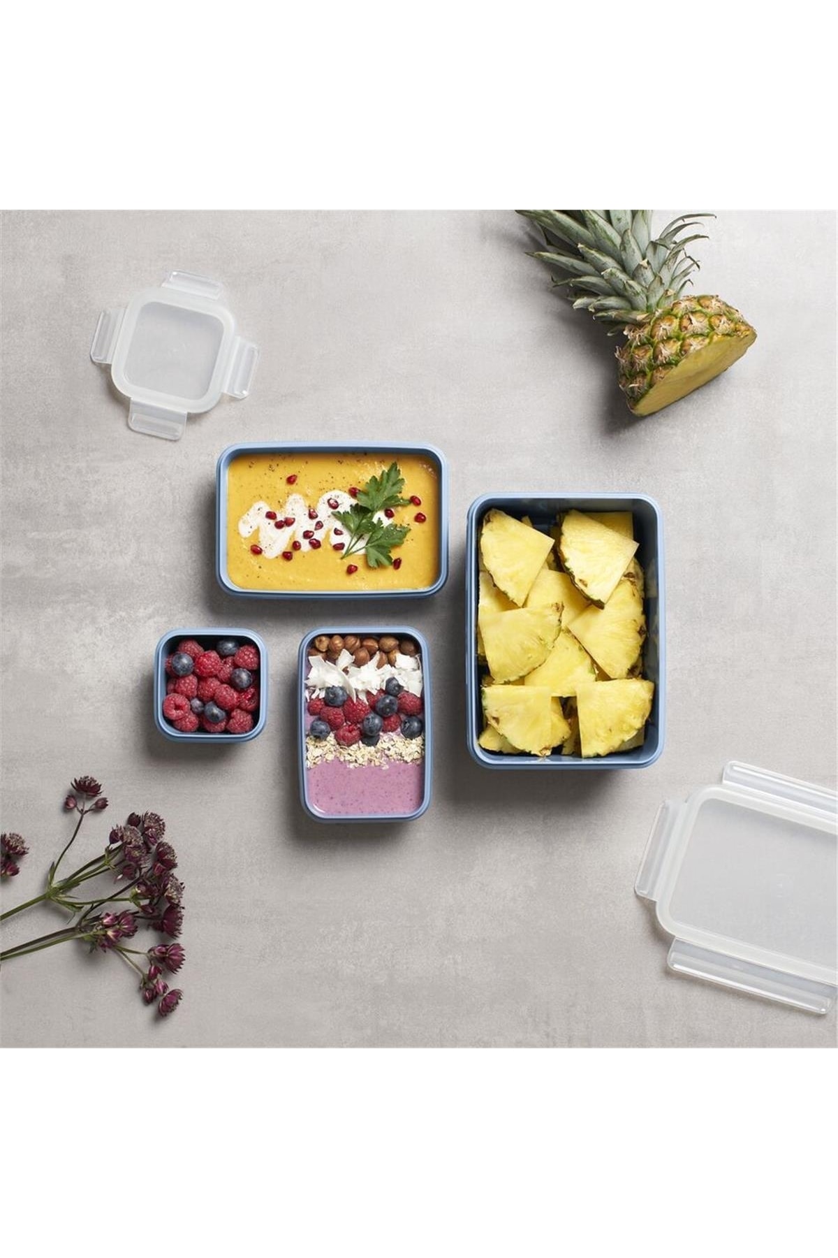 Tefal Masterseal Color 4’lü Set Mavi